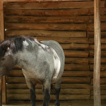 Nemesis Otel Stavroúpolis