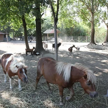 Nemesis Stavroúpolis