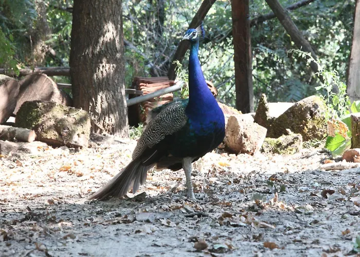 Nemesis Hotel Stavroupoli