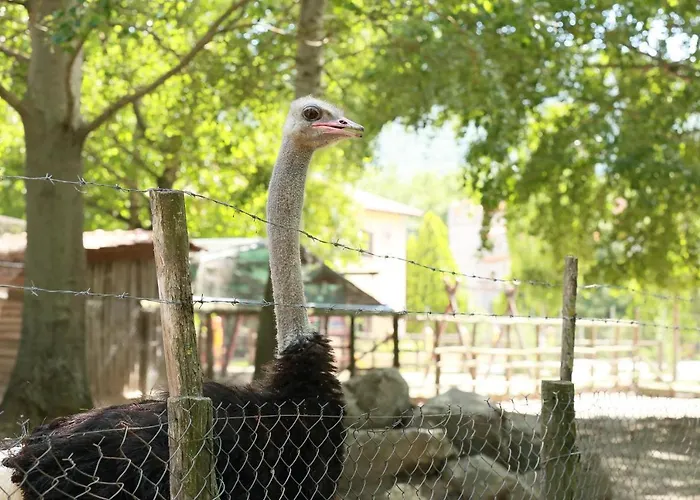 Nemesis Szálloda 3*