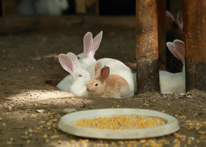 Nemesis 3* Sztavrúpoli