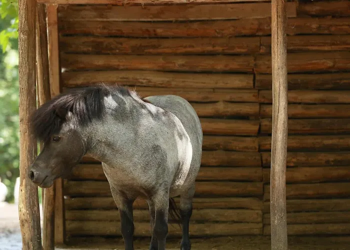 Nemesis 호텔 스타브로우폴리스