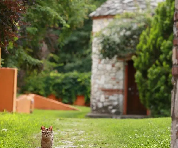 Nemesis Szálloda 3*