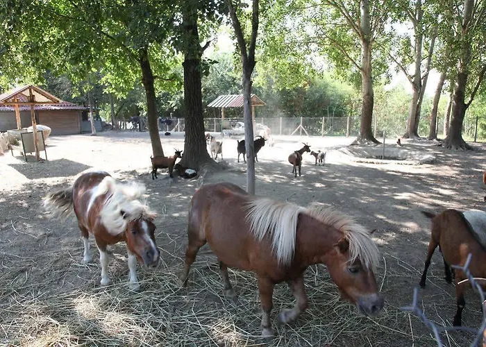 Nemesis 스타브로우폴리스